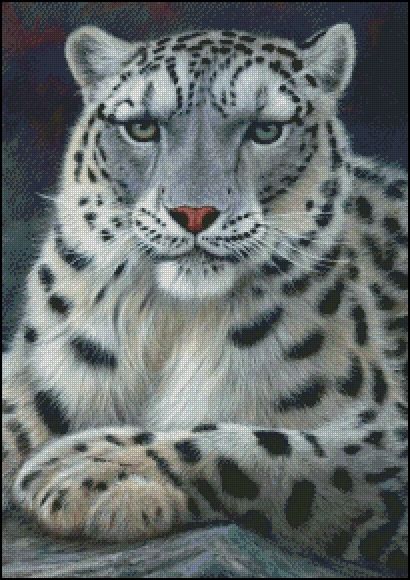Snow Leopard - JP